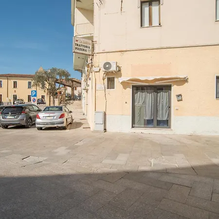 Quercus Ilex A Apartment